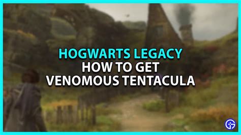 wo finde ich venemosa tentacula|How to get Venomous Tentacula in Hogwarts Legacy